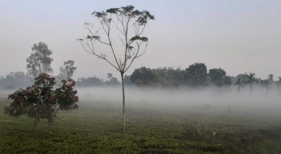  ১২ ডিগ্রিতে নামল তাপমাত্রা